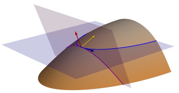 Tangential and Plan (projected contour) curvature planes Tangential and Plan (projected contour) curvature planes